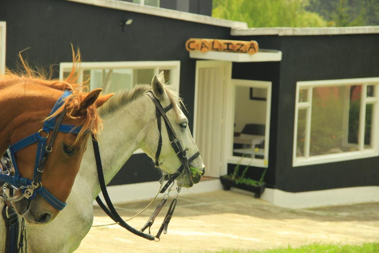 Glamping Caliza Chalet