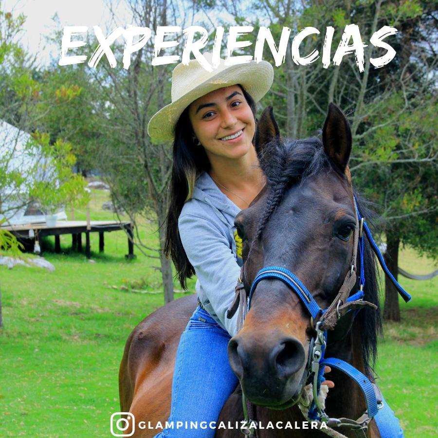 Chalet Glamping Caliza *